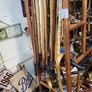 Walking stick Image 8