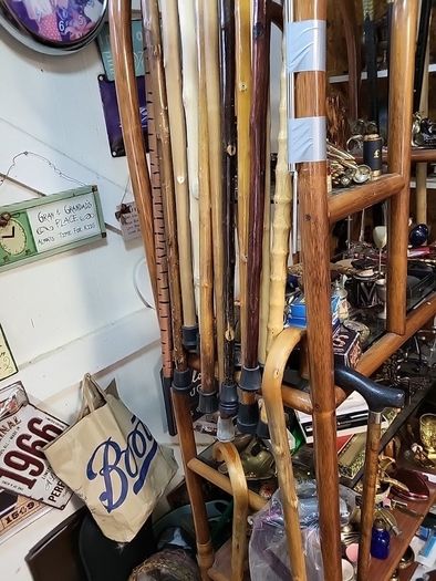 Walking stick