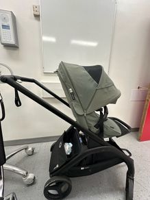 Bugaboo dragon fly