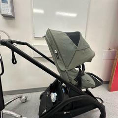 Bugaboo dragon fly