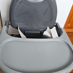 Chicco Seat