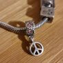 Silver Pandora Charm Bracelet Image 5