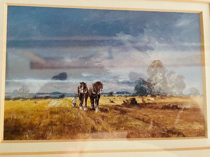 Working Horse Prints Signed by Alwyn Crawshaw