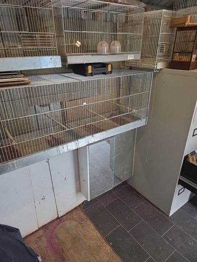 bird cage