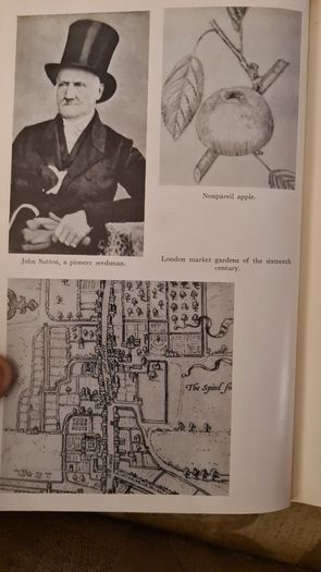 The Early Horticulturists. By Ronald Webber. Printed By David & Charles Newton Abbot. Vintage 1968 Hardback In Good Condition.