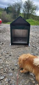 Dog Wash/Shower Unit