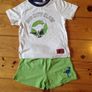 Age 3 Dinosaur Shorts & Top Set Image 2