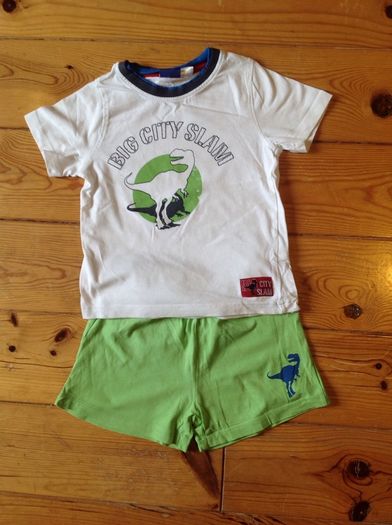 Age 3 Dinosaur Shorts & Top Set