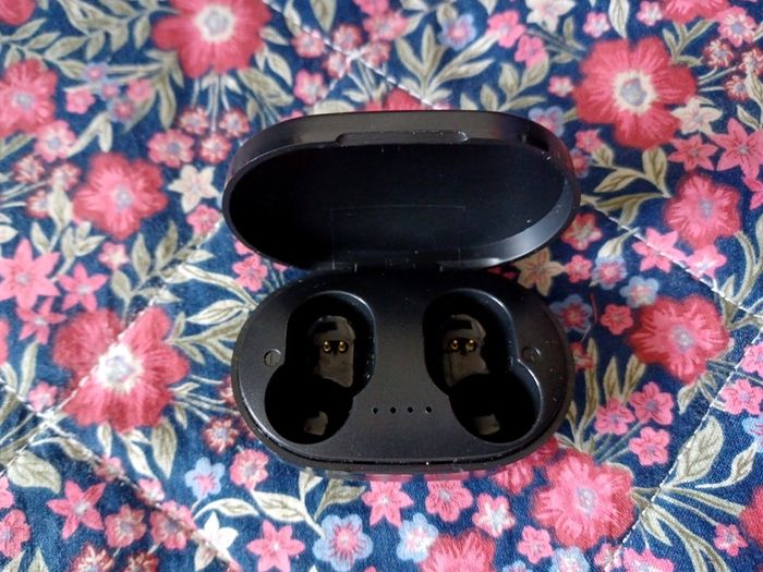Earphone case