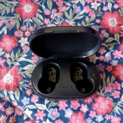 Earphone case