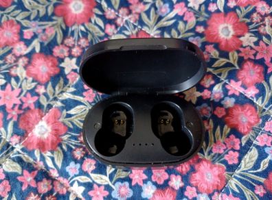 Earphone case
