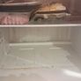 Free WORKING Whirlpool fridge freezer Image 3