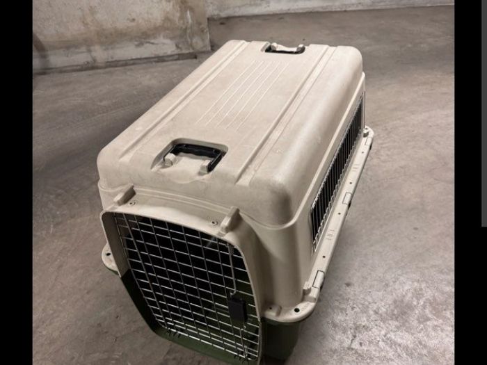 pet carrier