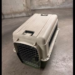 pet carrier
