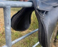 Saddle