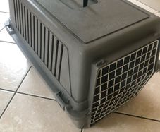 Pet carrier for dog or cat