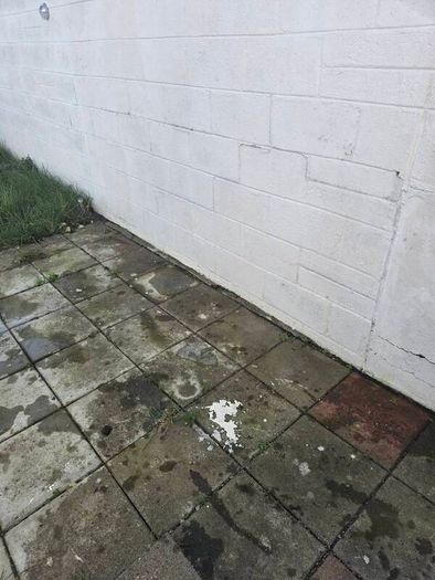 skip a