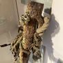 Old Anchor Image 6