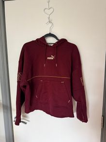 Puma Hoodie and Trousers