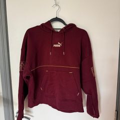Puma Hoodie and Trousers