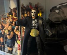 wwe sting