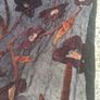 2 X Basta Cosi 5ft Italian Designer Scarves Image 8