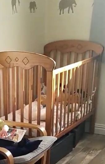 cot and mattress