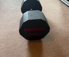 24KG Proiron Dumbell