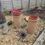 Garden Image 2
