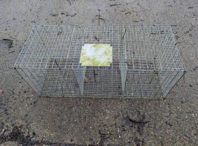 Larsen Trap - Magpie and Grey Crow Trap