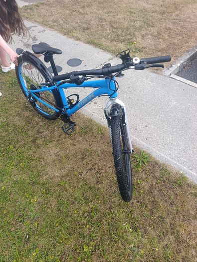 Trek wahoo 24