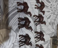 wooden Camel