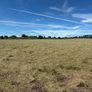 Hay Image 2
