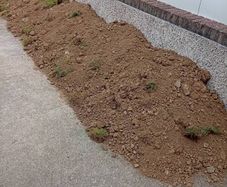 garden soil