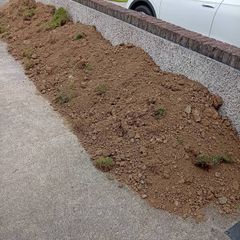 garden soil