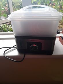 food steamer