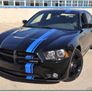 Easy way to add a stripe to anything with Full Dip Image 3
