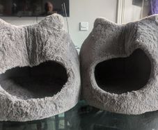 Cat beds x 2