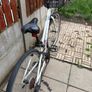 Female Bike Image 2