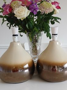2 Table Lamps