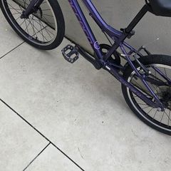 Carrera Jnr Fit 7 speed 20"