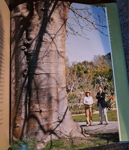 Thomas Pakenham / The Remarkable Baobab / 2004