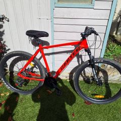 Mountain Bike