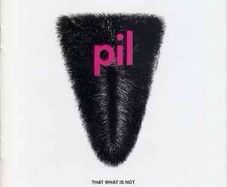 pil  |  that what is not