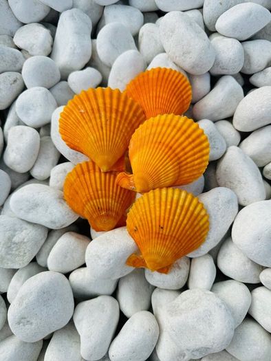 Memorial stone, grave stones polished pebbles