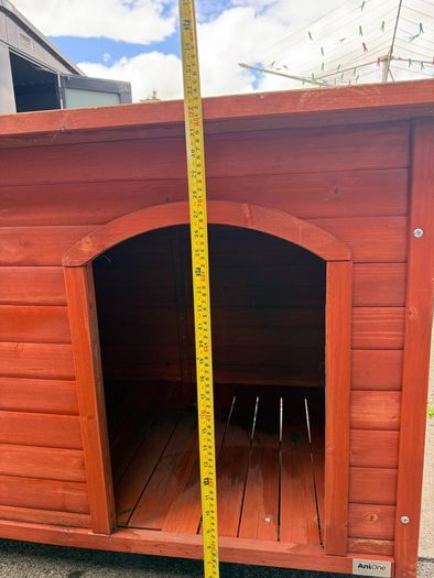 dog box