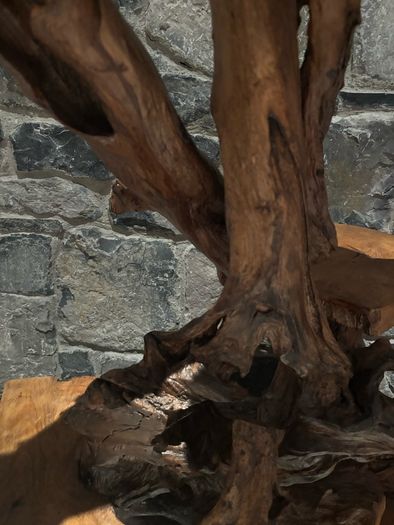 Teak Rootwood Plant Stand