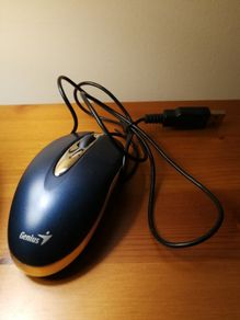 Genious mouse
