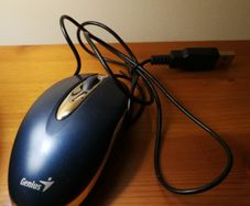 Genious mouse