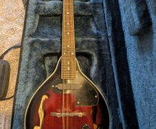 Mandolin